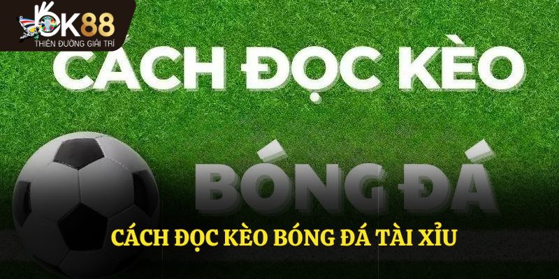 Cách Đọc Kèo Bóng Đá Tài Xỉu Tại OK88 Đơn Giản Và Hiệu Quả